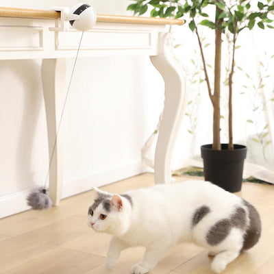 Electronic Motion Cat Toy