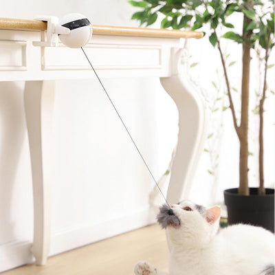 Electronic Motion Cat Toy