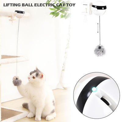 Electronic Motion Cat Toy