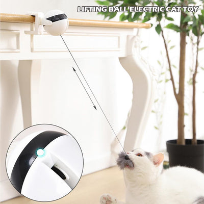 Electronic Motion Cat Toy